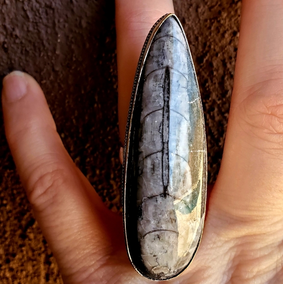 New Huge Orthoceras Fossil 925 Silver Statement Ring. - Picture 2 of 9